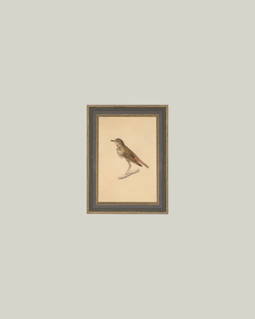 Antique Bird Framed Canvas Art 4x6