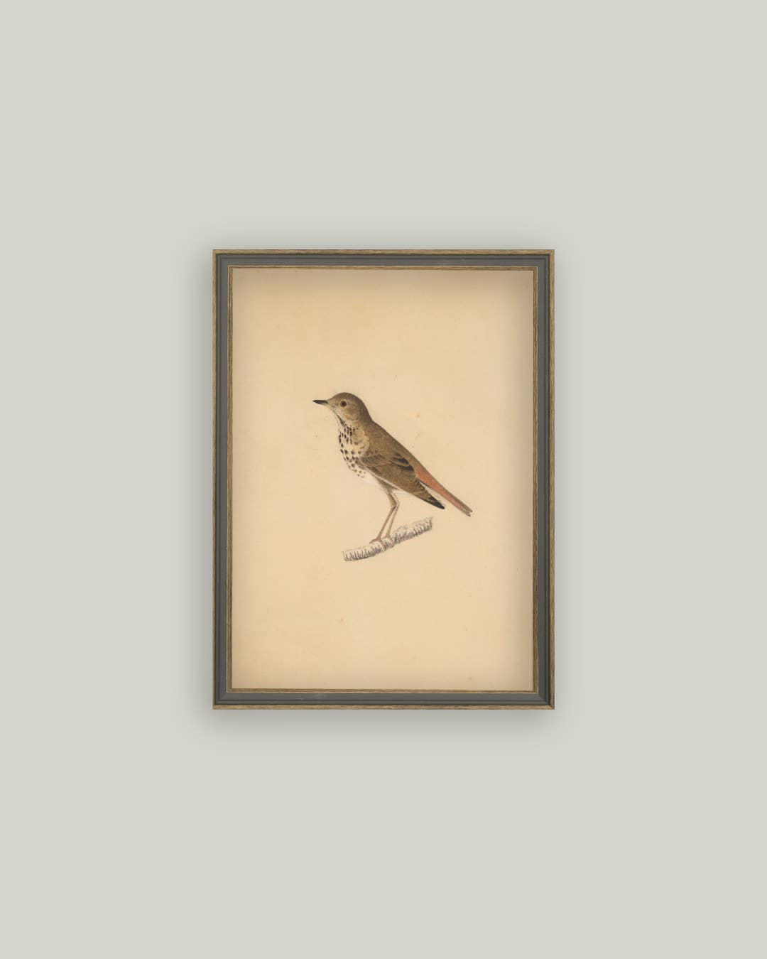 Antique Bird Framed Canvas Art 4x6