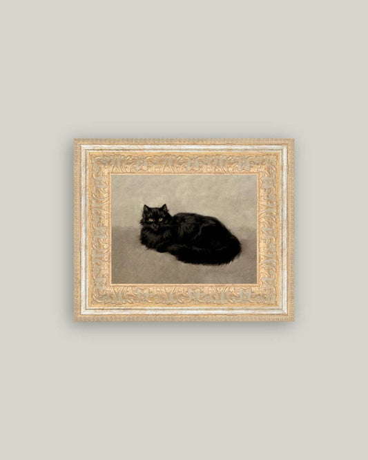 Black Cat Framed Antique Art 12x10